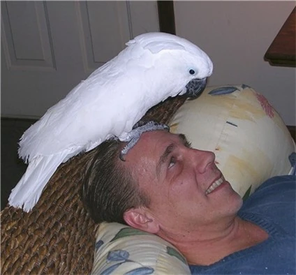 Default photograph on the Kevin Westerbeck wiki article.